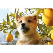 01-2095 くんくん！いい匂い [ジグソーパズル 108ピース]