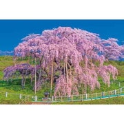 03-949 日本風景 爛漫と咲く三春瀧櫻 （福島） [ジグソーパズル 300ピース]