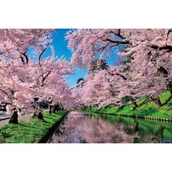 10-1455 日本風景 桜雲の弘前公園 （青森） [ジグソーパズル 1000ピース]