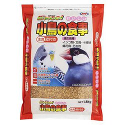 梅田 セール ペット用品 鳥