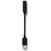 ACP-01BK [USB Type-C to 3.5mm ステレオミニ変換プラグ ブラック]