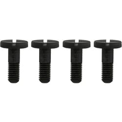 X-AIR RAZZO-V専用 バイザービス 1セット RAZZO5B