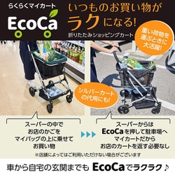 ヨドバシ.com - プライムダイレクト EcoCaマイショッピング