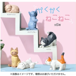 かくかくねこねこ 1個 [コレクショントイ]