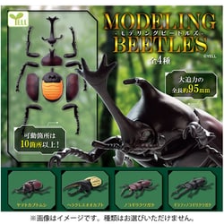 モデリングビートルズ 1個 [コレクショントイ]