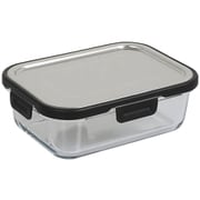 M-0521L [保存容器 フードコンテナ ウィズステンレスリッド 950ml]