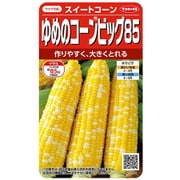 トウモロコシ ゆめのコーン ビッグ85 1袋 921212