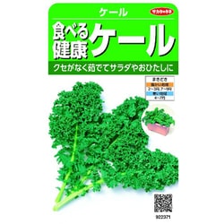 食べる健康ケール 1袋 922371