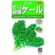 食べる健康ケール 1袋 922371