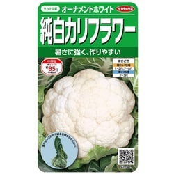カリフラワー オーナメントホワイト 1袋 922405