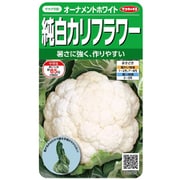カリフラワー オーナメントホワイト 1袋 922405