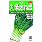 九条太ねぎ 1袋 923874