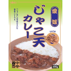 【愛媛】 じゃこ天カレー 200g