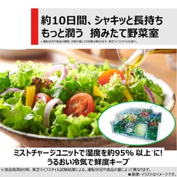 ヨドバシ.com - 東芝 TOSHIBA 冷蔵庫 VEGETA(ベジータ) FZS ヨドバシ.com - 東芝 TOSHIBA 冷蔵庫 VEGETA(ベジータ) FZS