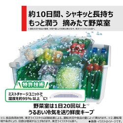 フォロー割 ♦ は ページです＊シロダーラポット 約１．５㍑ ４個セット img_vegtrug_hero_pc.jpg