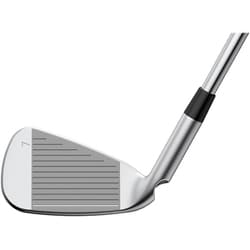 ヨドバシ.com - ピン PING G730 アイアン NS PRO MODUS 3 TOUR 115