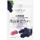 ニッポンエール 山形県産 月山ぶどうグミ 40g