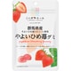 ニッポンエール 群馬県産 やよいひめ苺グミ 40g
