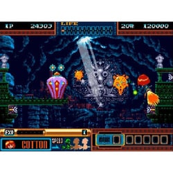 MD/MD互換機用 パノラマコットン 未使用 Amazon | コロンバスサークル（MD/MD互換機用）パノラマコットン