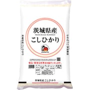 精米 茨城県産 こしひかり 10kg 令和5年産