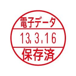 データーネームEX15号C式BK電子データ/保存済 赤 （電子帳簿保存法対応商品） XGL-15C