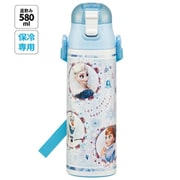 超軽量ダイレクトステンレスボトル 580ml ディズニーキャラクター アナと雪の女王24 SDC6N