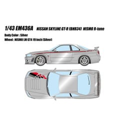 EM436A 1/43 日産 スカイライン GT-R BNR34 NISMO R-tune シルバー [レジンキャストミニカー]