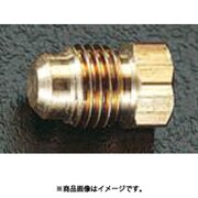 EA443PA-3 [F3/8” フレアープラグ（10個）]