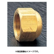 EA443SA-3 [F3/8” フレアーシールキャップ（10個）]