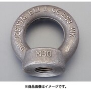 EA638SD-68 [M20 アイナット（炭素鋼製）]