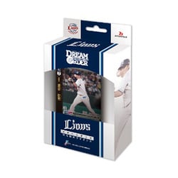 プロ野球カードゲーム DREAM ORDER パ・リーグ スタートデッキ 埼玉西武ライオンズ [トレーディングカード]