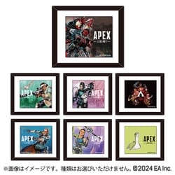 Apex Legends（エーペックスレジェンズ） トレーディングフレーム シーズンアート C（マグネット付き） 1個 [コレクショントイ]