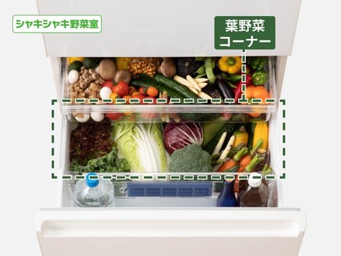 ヨドバシ.com - パナソニック Panasonic 冷蔵庫 PXタイプ（450L・幅60cm・右開き・5ドア・シャンパン） NR-E45PX1-N  通販【全品無料配達】