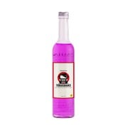 トラック専用コーティング剤 トラシャン3 500ml 6241
