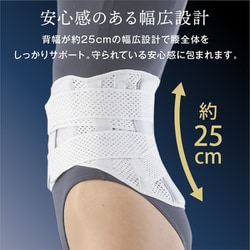 ヨドバシ.com - アルファックス alphax 204022 [お医者さんの