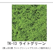 TK-13 木の素キット ライトグリーン（葉っぱの素 ライトグリーン+プラスチック樹木5本入） [鉄道模型レイアウト用品]