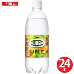 ヨドバシ.com - ウィルキンソン Wilkinson ウィルキンソン タンサン ウメ PET500ml×24本 [炭酸] 通販【全品無料配達】