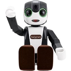 ヨドバシ.com - オンリーロボ ONLY ROBO コミュニケーションロボット タブレットセット RoBoHoN（ロボホン）プレミアム  通販【全品無料配達】