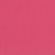 KOF02-50 CP [パレットカラー帆布 11号 生地 無地 綿100％ 約110cm×50cmカット CP コーラルピンク]