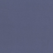 KOF02-50 BGRY [パレットカラー帆布 11号 生地 無地 綿100％ 約110cm×50cmカット BGRY ブルーグレー]