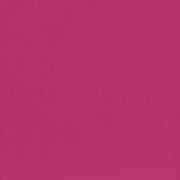 KOF02-50 FP [パレットカラー帆布 11号 生地 無地 綿100％ 約110cm×50cmカット FP フューシャピンク]