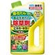 カダン 除草王 ビネガーキラー 2L
