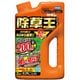 カダン 除草王 ザッソージエース 2L