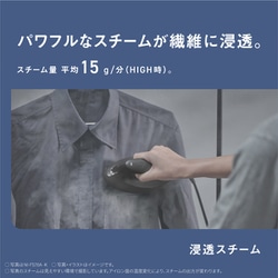 ヨドバシ.com - パナソニック Panasonic 衣類スチーマー クレイ