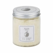 22501-12 [JAM TOWEL（ジャムタオル） ハンカチタオル APPLE]