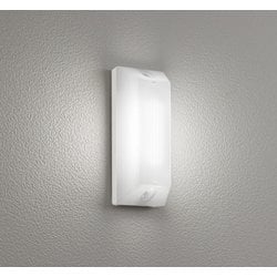 エクステリアライト 多目的灯 昼白色 白熱灯60W相当 【要取付工事】 SH9141LD