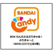 わんだふるぷりきゅあ！プリキュ～ト 1BOX（10個入） [コレクション食玩]