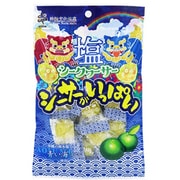 シーサーがいっぱい 塩シークヮーサー 80g
