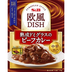 欧風DISH 熟成ドミグラスのビーフカレー 中辛 170g