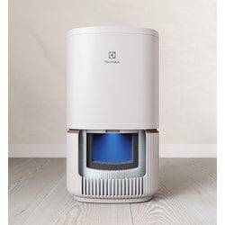 UltimateHome 300 EP32-28WBA エレクトロラックス 31oHwsGgGpL.jpg_BO30,255,255,